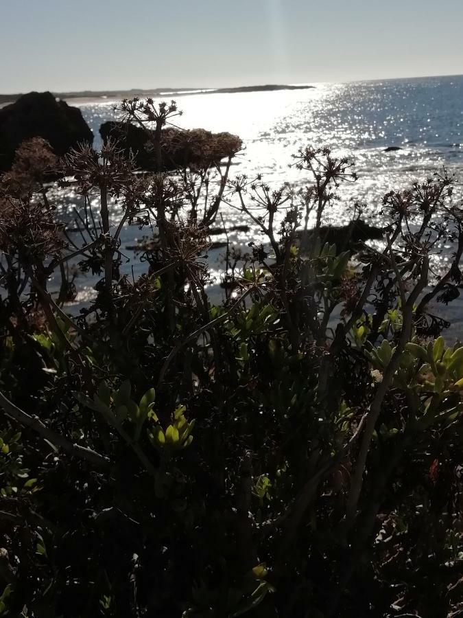 Sardinia For You Oristano Eksteriør bilde
