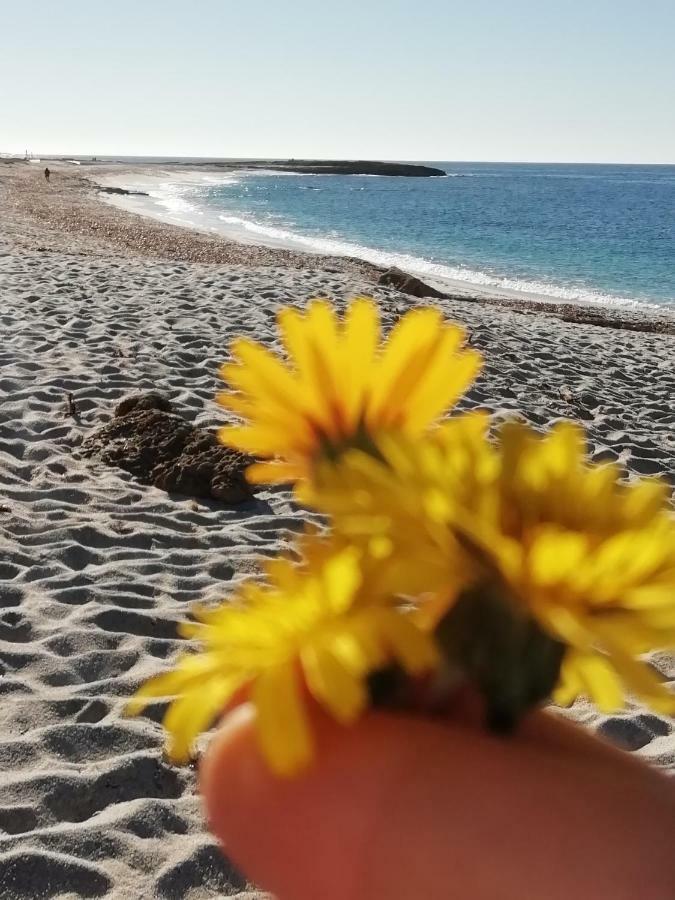 Sardinia For You Oristano Eksteriør bilde